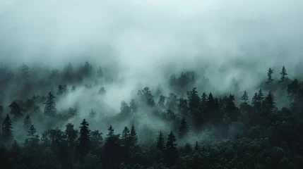 Fototapeten An ethereal black mist enveloping a serene landscape, evoking a sense of mystery and wonder, minimalist, real photo, stock photography ai generated high quality image © SazzadurRahaman
