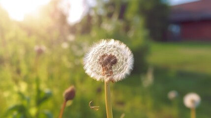 dandelion with flying seeds, AI-generated