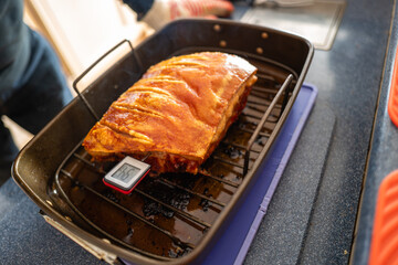Shallow focus on the point where a thermometer enters a pork loin join so the temperature of the cooked meat can be measured. - 772542161
