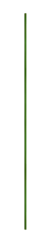 Foto auf Leinwand Green painted vertical long metal beam pole - on isolated transparent background. © Gold Picture
