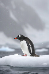 Fototapeta premium A penguin sitting on an ice floe in the distance, in a foggy atmosphere with snowy mountains and an ocean background, in the style of Nikon D850, a high resolution image with cinematic lighting and fi
