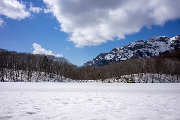 Fototapeta na wymiar Pristine Snowfield with a Backdrop of Nagano Mountains, Japan's Winter Wonderland.