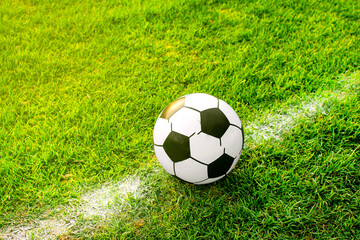 Imagen horizontal de un balón de futbol o Soccer en una cancha color verde  - obrazy, fototapety, plakaty