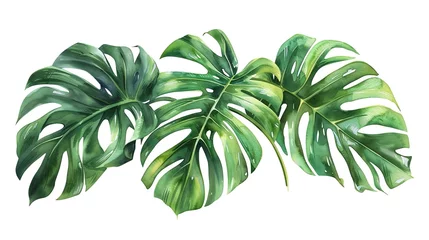 Foto op Canvas Exotic plants, palm leaves, monstera on an isolated white background, watercolor vector illustration ai generated  image © MdAwlad