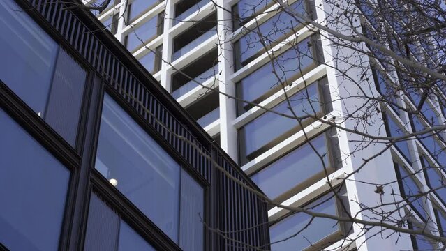 Offices windows with autumn tree branches. Offices, corporations, businesses, skyscraper concept. Prespective from below
