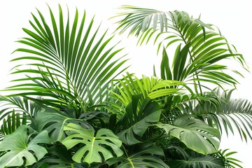 Lush green palm leaves creating a tropical border, isolated on white for versatile design applications