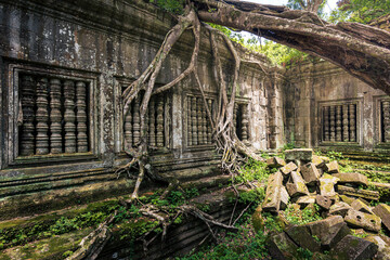 A temple in Cambodia with a tree