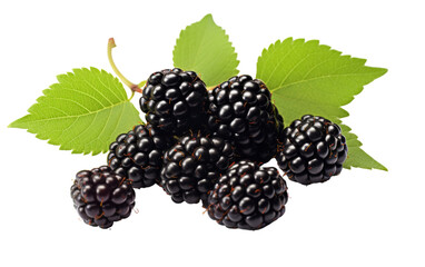 A cluster of ripe blackberries with vibrant green leaves, arranged artistically on a clean white background