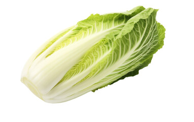 A vibrant lettuce leaf elegantly rests on a stark white background