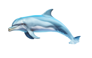 A graceful dolphin leaps high in the air, showcasing its agility and power with its mouth wide open