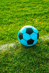 Imagen vertical de una cancha de Soccer o futbol con una pelota color azul 