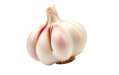A single garlic clove positioned on a clean white background, perfectly capturing its intricate textures and unique shape