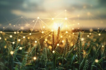A visually appealing representation of a wheat field intertwined with stocks and shares symbols on an agricultural investment backdrop. - obrazy, fototapety, plakaty