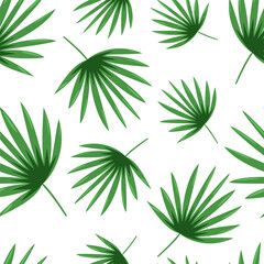 The leaves of Rhapis humilis. Vector illustration, seamless pattern. Isolated elements on a white background for printing and fabric production.
