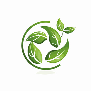 Green leaf ecology vector icon on white background, eco logo, logotype, sticker