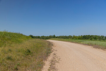 a road in a field with agricultural plants in summer