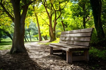 Wooden bench in park on sunny day, perfect for relaxation
