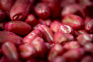 Close up of treated wheat seeds
