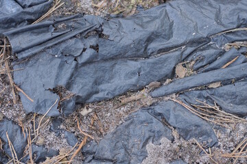 plastic texture from a piece of old torn cellophane in gray ground