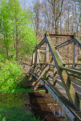 Wooden bridge over the Hasselbach reservoir near Detmold in the Teutoburg Forest