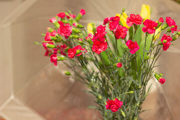 A bouquet of carnations and tulips on the background of a transparent umbrella. Shallow depth of field