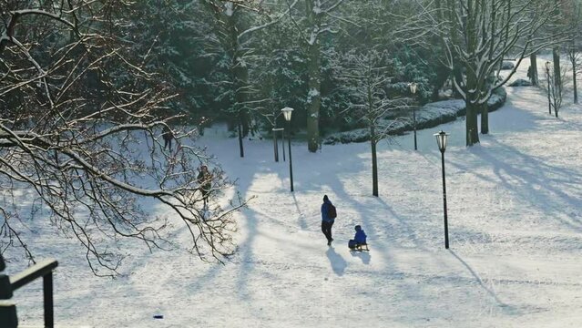 Father pulls sledge with his child behind him in snowy and sunny park