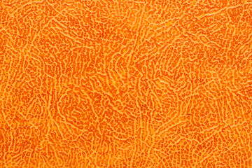 The orange background has a rough texture and is covered in small bumps