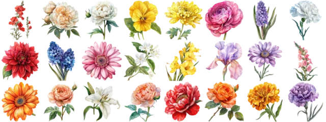 Foto auf Acrylglas Watercolor flower set isolated background. Various floral collection of nature blooming flower clip art illustration element for retro flora wedding or romantic valentine card. crisp edges cut out. © Summit Art Creations