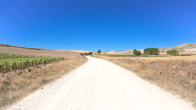 French Way of Saint James - a gravel road through agricultural fields leaving Rabe de las Calzadas, province of Burgos, Castile and Leon, Spain
