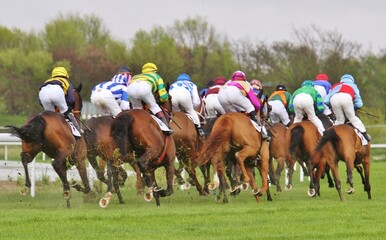 Horse racing competiton sport