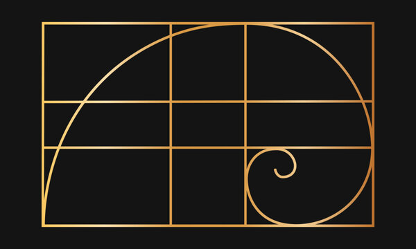 Golden ratio template. Gold logarithmic spiral in rectangle frame divided on lines. Fibonacci sequence grid. Perfect symmetry proportions layout. Nature harmony graphic formula. Vector illustration.