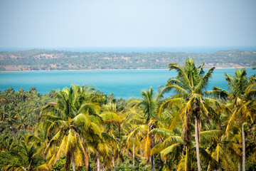 vue sur le lagon de Quissico avec les palmiers au premier plan et la mer au fond
