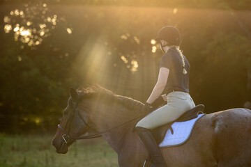 Equestrian portraits on a roan bay horse riding in English Tack hunter jumper eventing with sun...