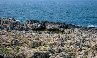 Costa rocciosa della Penisola della Maddalena, Plemmirio di Siracusa 29
