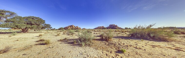 Desert landscape at Fish River Canyon in Namibia with acacia tree and rocky outcrop under clear blue sky