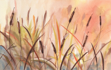 Watercolor reed in the lake - hand drawn sketch style illustration landscape