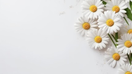 Fototapeta premium Daisy Flower Decoration on a White Background, Perfect for Wedding Design. Generative AI