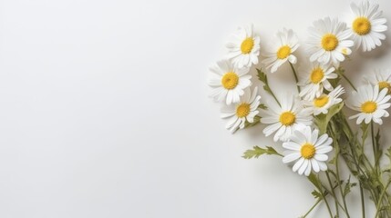 Daisy Flower Decoration on a White Background, Perfect for Wedding Design. Generative AI