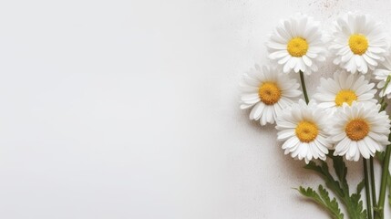 Obraz premium Daisy Flower Decoration on a White Background, Perfect for Wedding Design. Generative AI