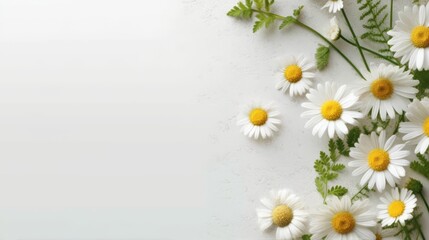 Daisy Flower Decoration on a White Background, Perfect for Wedding Design. Generative AI