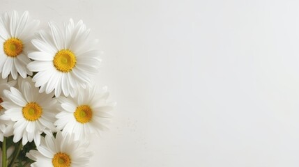 Fototapeta na wymiar Daisy Flower Decoration on a White Background, Perfect for Wedding Design. Generative AI