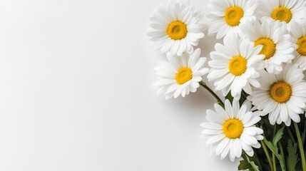 Fototapeta premium Daisy Flower Decoration on a White Background, Perfect for Wedding Design. Generative AI