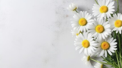 Daisy Flower Decoration on a White Background, Perfect for Wedding Design. Generative AI