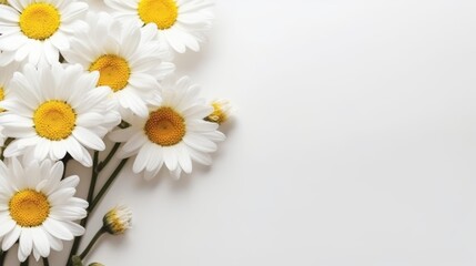 Fototapeta premium Daisy Flower Decoration on a White Background, Perfect for Wedding Design. Generative AI
