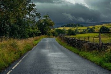 Naklejka premium Road With Fence and Field