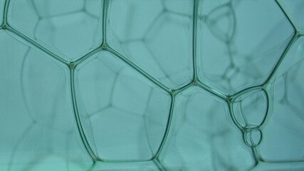 Liquid cells background. Cosmetic bubbles texture.