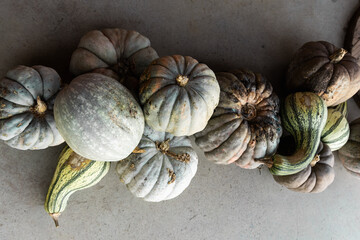 pumpkins or pumpkins of different types, locro , shapes and colors 