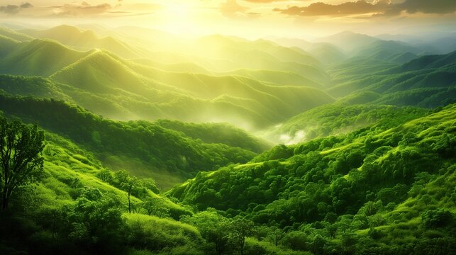 Majestic Rainforest Mountains: Breathtaking Landscape Wallpaper