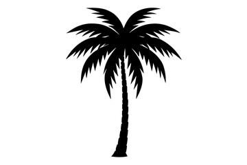 Palm Tree and Coconut Tree Silhouettes on Transparent Background