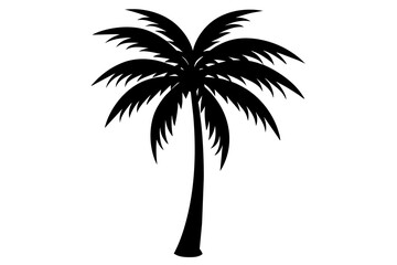 palm tree silhouette